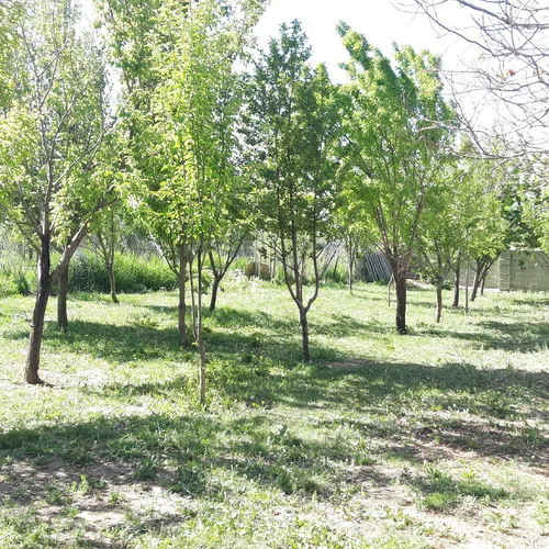 تصویر 15 - خانه دلنشین در  کوهرنگ