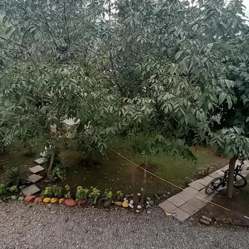 تصویر 19 - ویلا  قصر سفید محمد مهدی در  ماسال
