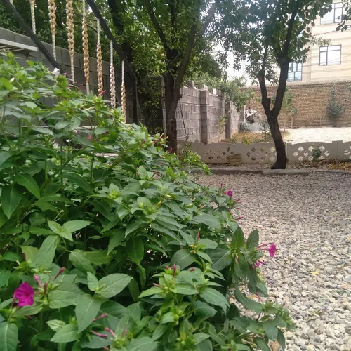 تصویر 15 - خانه ویلایی بختیاری در  همدان