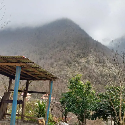 تصویر 24 - کلبه جنگلی دنج در  ماسال