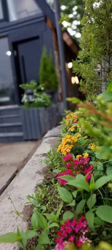 تصویر 22 - کلبه پسر جنگل  در  دوهزارشهسوار