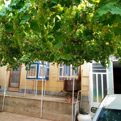 تصویر 13 - خانه صبا در  شهرکرد