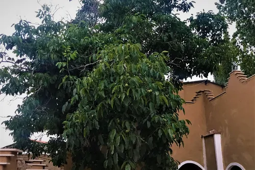 تصویر 13 - اقامتگاه بوم‌گردی سرای معلم کوه کرکس(واحد2) در  نطنز