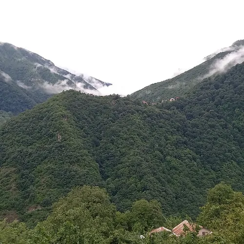 تصویر 18 - ویلا باغ سرای امیران  در  دوهزارشهسوار