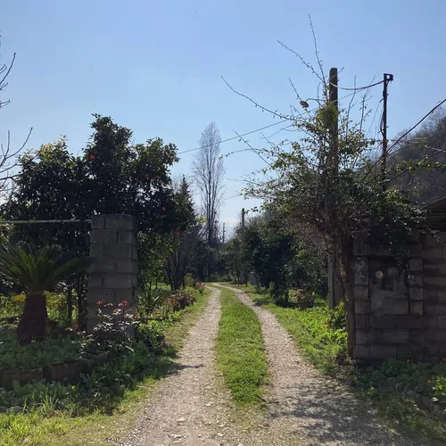 تصویر 12 - ویلا باغ مارکوه در  کتالم