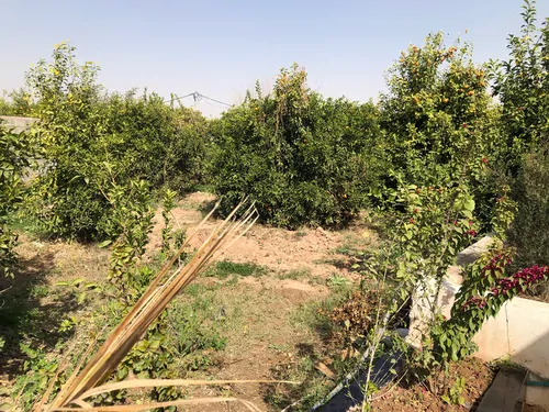 تصویر 16 - ویلا استخردار آبسرد سرو در  دزفول