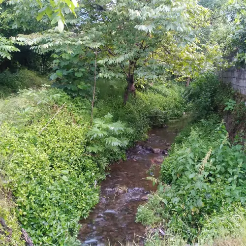 تصویر 21 - آپارتمان مبله هلوکله در  چابکسر