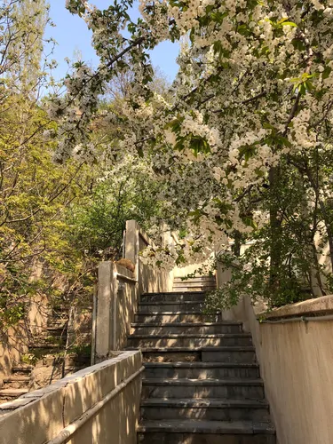 تصویر 31 - آپارتمان  مبله رضایی (واحد ۱) در  میگون