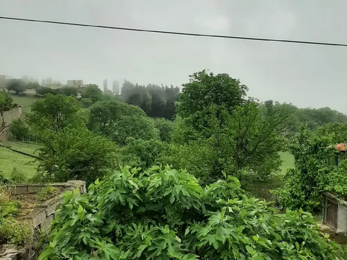 تصویر 25 - ویلا جنگلی شمام در  رستم آباد
