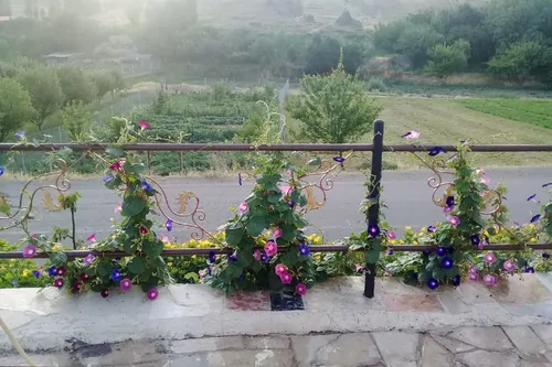 تصویر 10 - خانه  دنج دربند در  زنجان