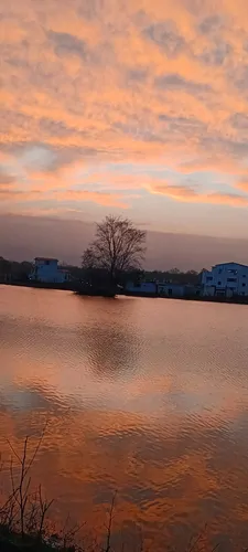 تصویر 21 - ویلا آهو در  نور