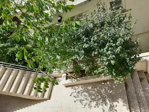 تصویر 20 - آپارتمان  مبله رضایی (واحد ۱) در  میگون