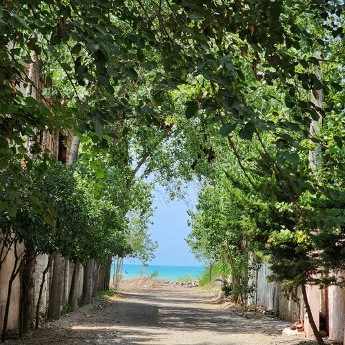 تصویر 35 - ویلا عصمتی در  فریدون کنار