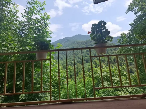 تصویر 17 - کلبه جنگلی دنج در  ماسال