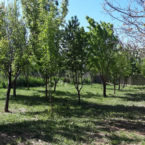 تصویر 16 - خانه دلنشین در  کوهرنگ