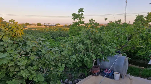 تصویر 9 - سوییت ویلایی سرهنگ در  ورامین