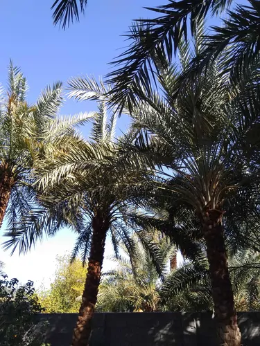 تصویر 16 - اقامتگاه بوم‌گردی هوربانو (دو تخته) در  شهداد