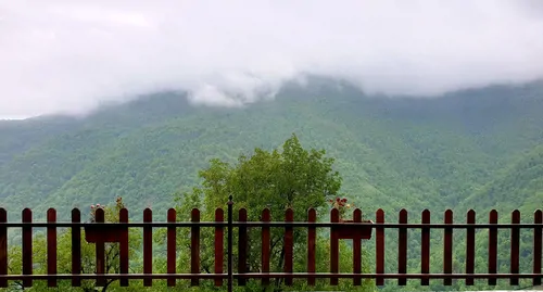 تصویر 15 - خانه جنگلی نگار در  رامیان