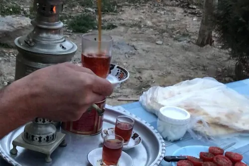 تصویر 19 - اقامتگاه بوم‌گردی سرای معلم كوه كركس (واحد8)‍  در  نطنز
