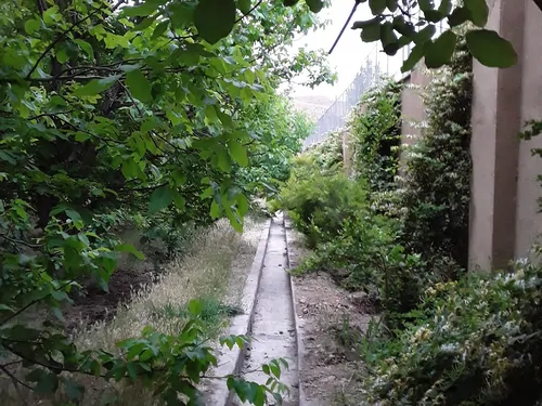 تصویر 4 - ویلا باغ جنگلی نور در  باغ بهادران