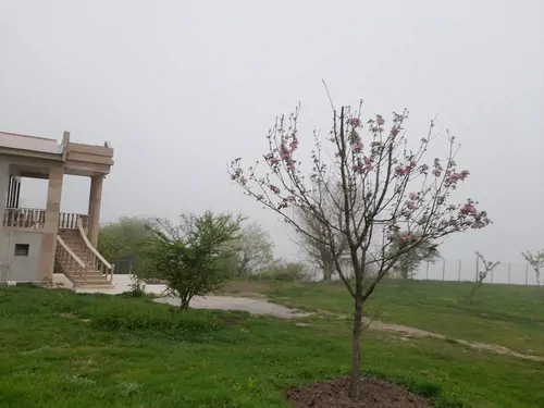 تصویر 19 - ویلا جنگلی لزیر واز در  چمستان