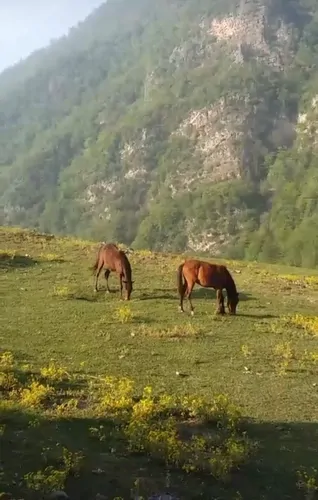 تصویر 24 - ویلا جنگلی لزیر واز در  چمستان