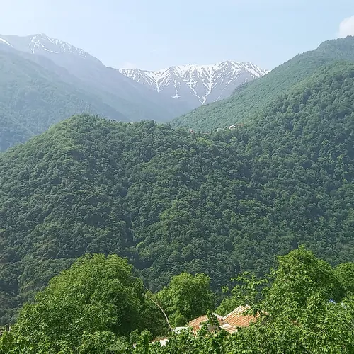 تصویر 17 - ویلا باغ سرای امیران  در  دوهزارشهسوار