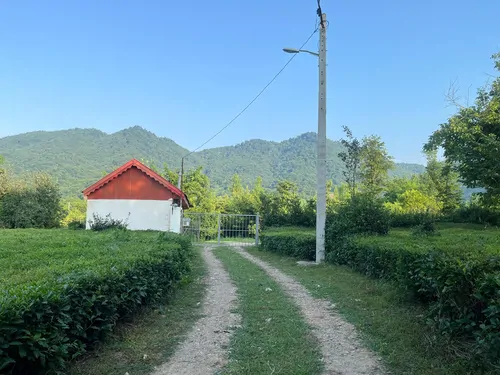 تصویر 12 - ویلا وسط باغ چای در  فومن