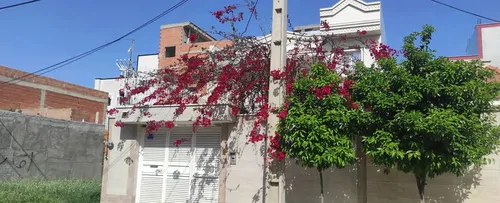 تصویر 14 - ویلا صفا در  گنبد کاووس