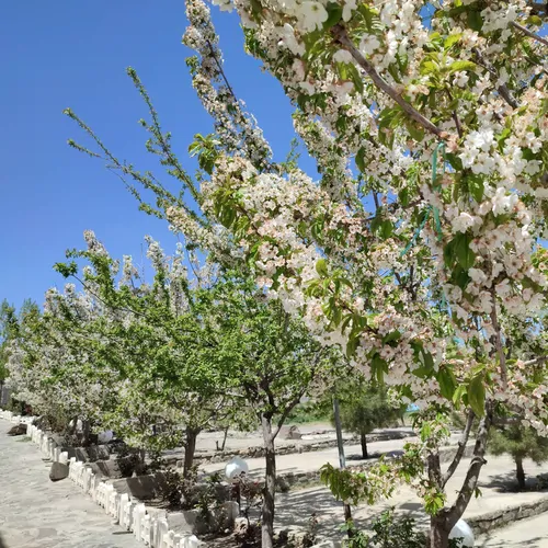 تصویر 15 - سوییت راز رنگین کمان (۱) در  همدان
