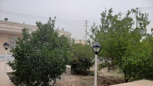 تصویر 18 - ویلا قمیش با ایرهاکی در  دزفول