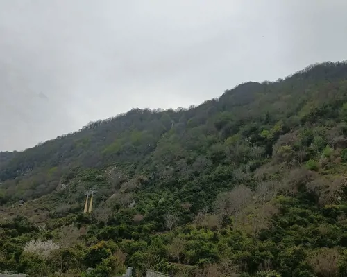تصویر 24 - کلبه تمشک با جکوزی در  رامسر