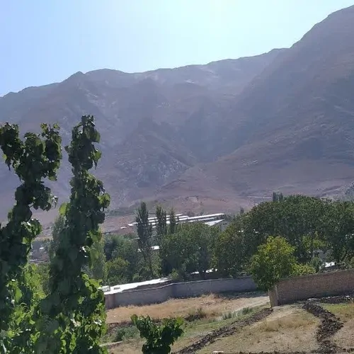 تصویر 8 - آپارتمان مبله سردشت در  خوانسار