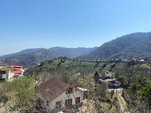 تصویر 9 - ویلا جنگلی فرخیان در  چابکسر