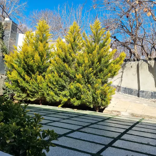 تصویر 13 - ویلا کوهستانی در سولقان در  تهران
