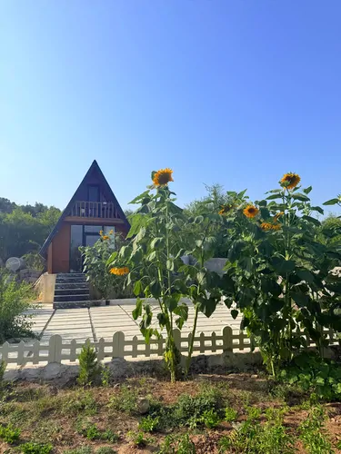 تصویر 13 - کلبه زیتون در  رستم آباد
