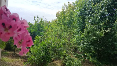 تصویر 11 - ویلا  باغ بهشت در  اسالم
