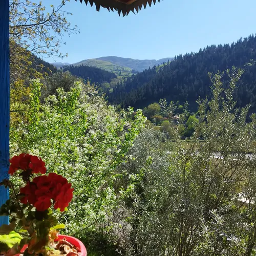 تصویر 20 - ویلا کیان مهر در  رودبار