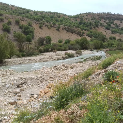 تصویر 9 - اقامتگاه بوم‌گردی باغ تفریحی پرنیان (۳) در  یاسوج