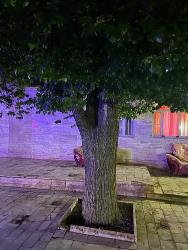 تصویر 13 - ویلا مهرگان (1) در  محلات