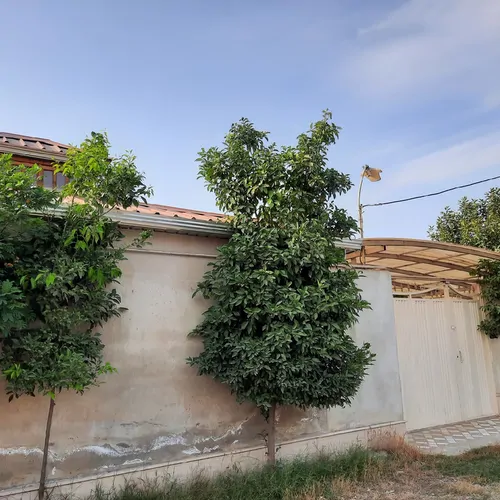 تصویر 18 - سوییت ویلایی بهارنارنج  در  بابل