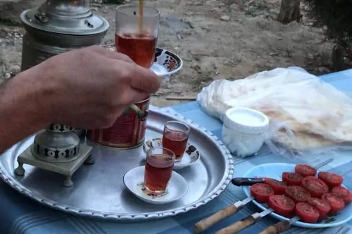 تصویر 18 - اقامتگاه بوم‌گردی سرای معلم كوه كركس (واحد1) در  نطنز