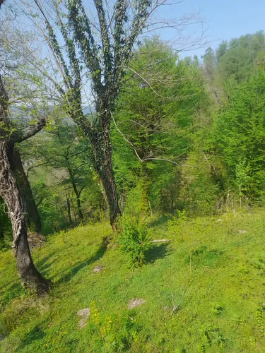 تصویر 12 - کلبه بهار در  بابل