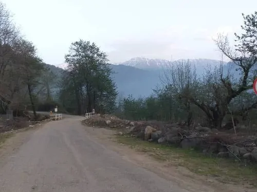 تصویر 16 - ویلا مهمان نواز در  کلاچای