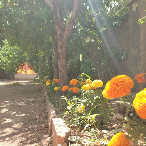 تصویر 31 - ویلا شب نشین (1) در  کوهرنگ