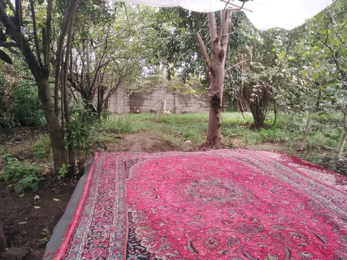 تصویر 18 - روستایی و عشایری باغ  فلاحت  در  صومعه‌سرا