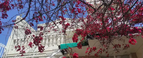 تصویر 11 - ویلا صفا در  گنبد کاووس