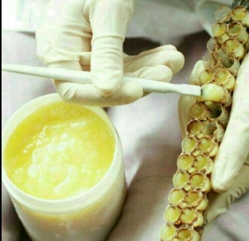 ژل رویال اصل 20 گرمی مخلوط با 100 گرم عسل طبیعی اکسیر سبلان | بایا